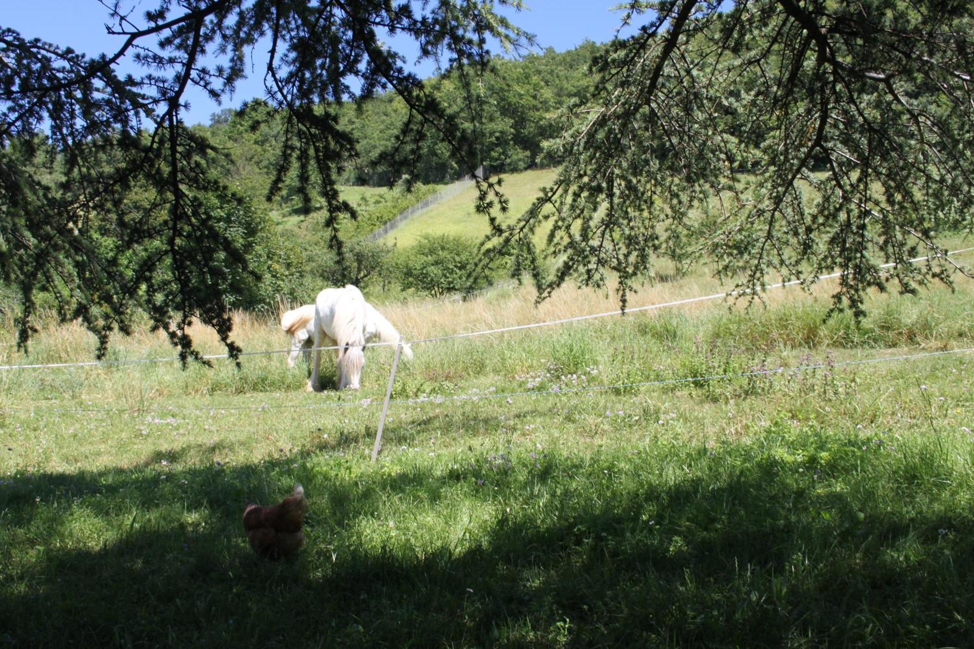 Comfortable Village Apartment In Barbieres With Access To Large Garden With Beautiful Views 外观 照片